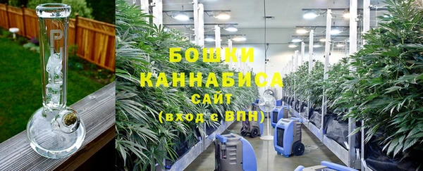 бошки Алексин