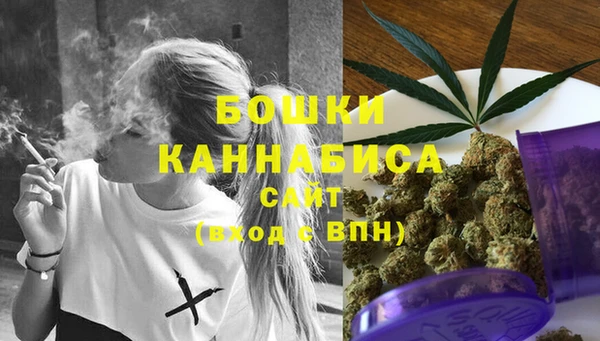 бошки Алексин