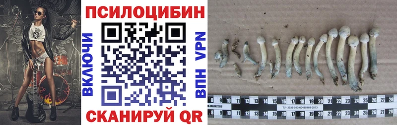 hydra как войти  Арамиль  Галлюциногенные грибы Magic Shrooms  наркота 